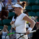 Illustration for article titled Madison Brengle Sues WTA For Physical Injury, Emotional Trauma Caused By Intravenous Doping Tests